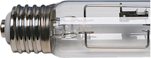 Metal_Halide_Transparent_half