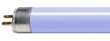 T5_Transparent